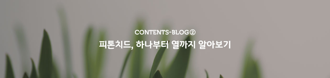 contents-blog2.jpg